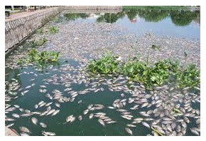 Các con số trong tên của máy bơm nước thải CNP có gì đặc biệt ? Các con số trong tên của máy bơm nước thải CNP có gì đặc biệt ?